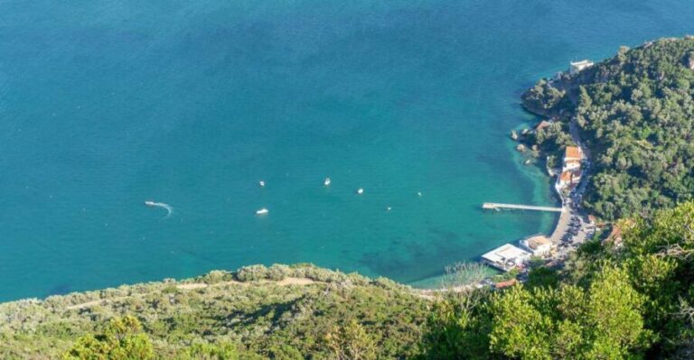 Private Full Day Tour Setubal - An In-Depth Look at the Setúbal Full-Day Experience