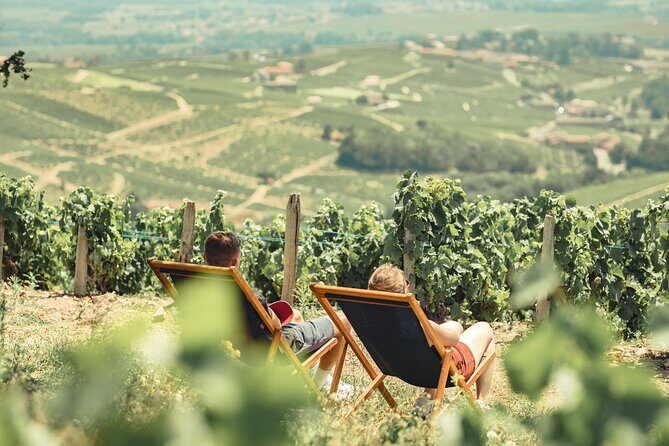 Private Full Day Wine and Food Tour from Lyon in Beaujolais - Exploring the Itinerary in Detail