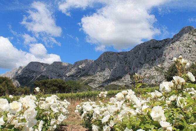Private Full Day Wine Tour in Provence From Marseille cruise port - FAQ