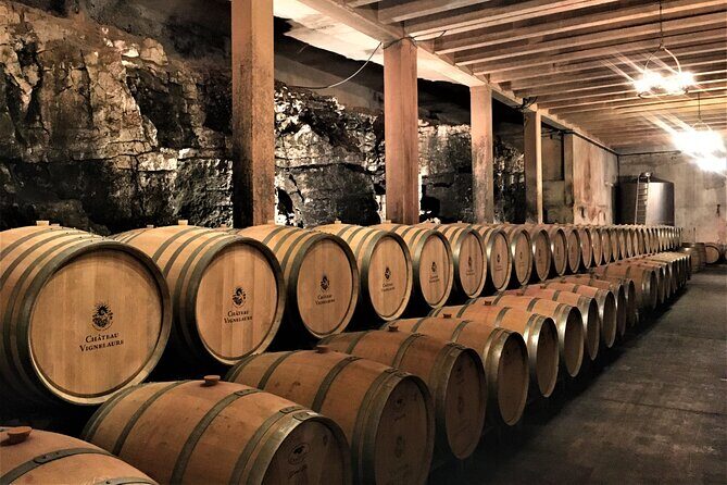Private Full Day Wine Tour in Provence - The Guides: Knowledge and Charisma Make a Difference