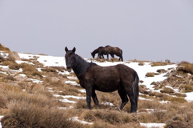 Private Granada Tour in Sierra Nevadas Summits - Frequently Asked Questions