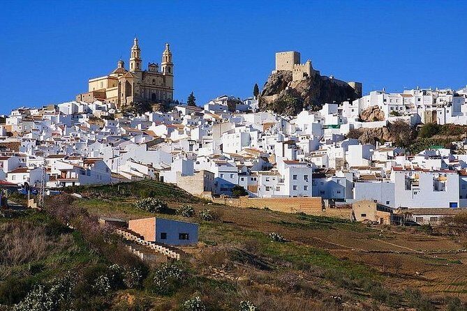 Private Guided Day Trip to the White Villages and Ronda from Seville - The Sum Up
