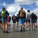 Private Guided Full-Day Customizable Tour of Holland from Amsterdam - What Does the Itinerary Look Like?