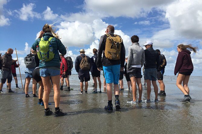 Private Guided Full-Day Customizable Tour of Holland from Amsterdam - What Does the Itinerary Look Like?