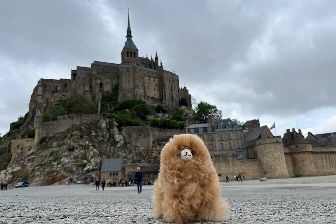 Private Guided Mont Saint Michel & D-day tour from Paris - Why This Tour Stands Out
