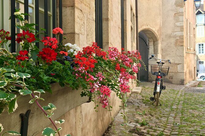 Private guided tour - Beaune 2h - Who Should Consider This Tour?