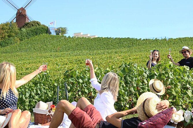 Private Guided Tour in Champagne from Paris with Moet&Chandon visit. - The Deep Dive: What You Can Expect from This Champagne Day Trip