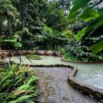 Private Guided Tour to Furnas and thermal baths. - Who Should Consider This Tour?
