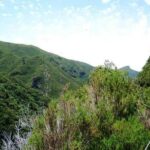 Private Guided Walk Levada 25 Fontes - Who Should Book This Tour?