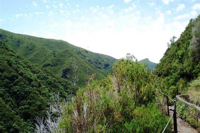 Private Guided Walk Levada 25 Fontes - Who Should Book This Tour?