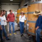 Private Half-Day Languedoc Wine Tour from Sète - The Itinerary in Detail