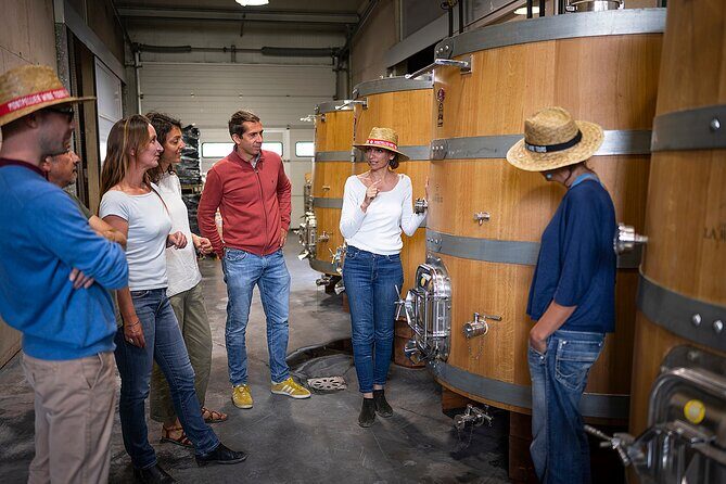 Private Half-Day Languedoc Wine Tour from Sète - The Itinerary in Detail