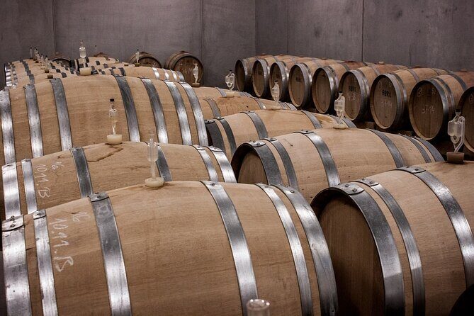 Private Half Day Txakoli Wine Tour & Getaria Fishing Village - Final Thoughts