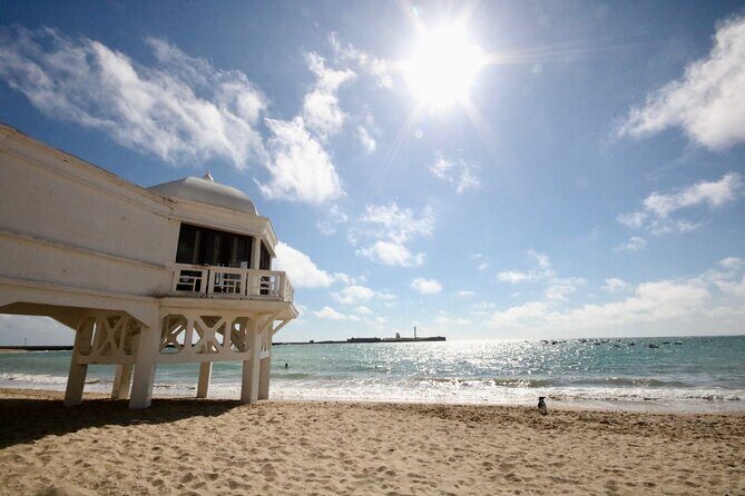 Private Healthy Food Experience and Walking Tour in Cadiz - Who Should Book This Tour?