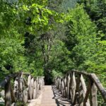 Private hiking tour to Olympus mountain - What Makes This Tour Stand Out