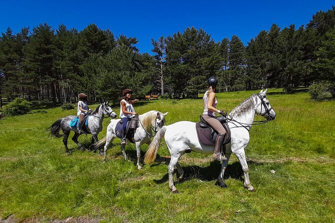 Private Horse Ride in Madrid natural park reserve - The Sum Up
