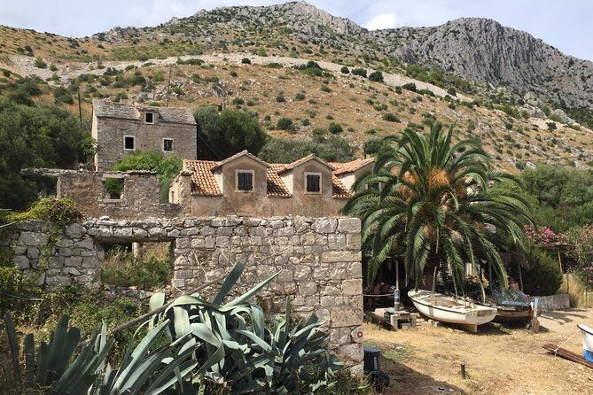 Private Hvar Island Tour and Olive Oil Tasting - A Deep Dive into the Tour Experience