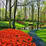 Private Keukenhof, Gardens, Windmills, cheese tour from Amsterdam - The Sum Up