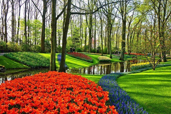 Private Keukenhof, Gardens, Windmills, cheese tour from Amsterdam - The Sum Up