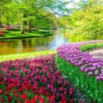 Private Keukenhof Tulip Fields Tour From Amsterdam(Skip-The-Line) - Who Will Enjoy This Tour Most?