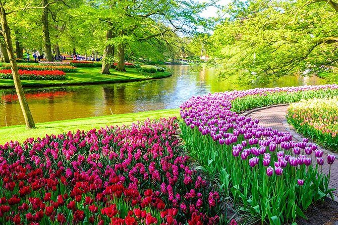 Private Keukenhof Tulip Fields Tour From Amsterdam(Skip-The-Line) - Who Will Enjoy This Tour Most?