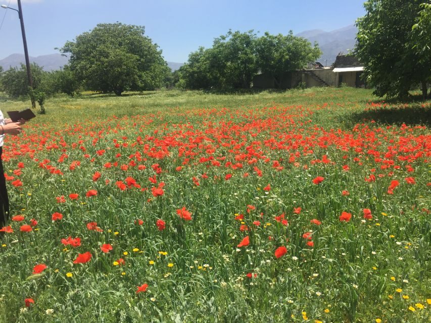 Private-Knossos Palace-Zeus Cave-Villages-Olive Oil Factory - A Deep Dive into the Day’s Itinerary