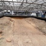 Private Luxury Tour: Unveiling the Sacred Mysteries of Eleusis - Transportation and Comfort: Why They Matter