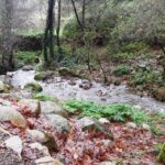 Private Monchique Guided Forest Hike w/Medronho Tasting - Exploring Monchique: A Deep Dive into the Experience