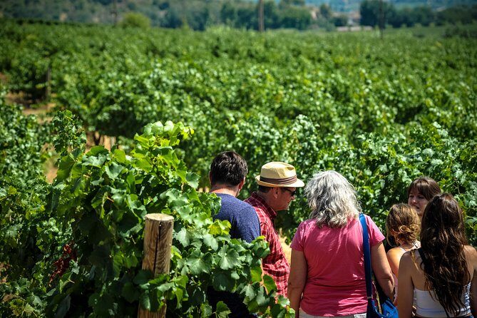 Private Montserrat with Wine Tasting Full Day Trip from Barcelona - Personalized Free Time and Scenic Explorations