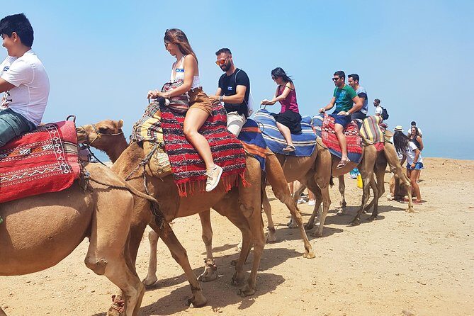 Private Morocco Day Tour: Tangier from Seville - Who Will Love This Tour?