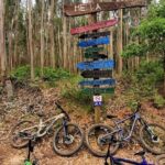 Private MTB Enduro Trail Tour in Sintra - Cascais Natural park - A Deep Dive into the MTB Enduro Tour