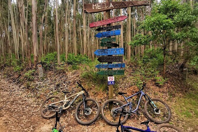 Private MTB Enduro Trail Tour in Sintra - Cascais Natural park - A Deep Dive into the MTB Enduro Tour