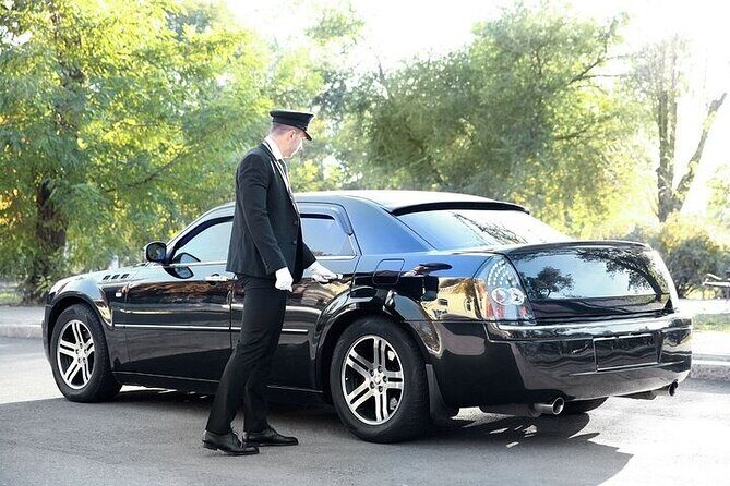 Private One way Transfer from Bilbao Airport to Bilbao - Who Should Book This Transfer?