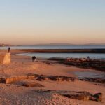Private Open Top Coastal Tour with Coffee Included - Final Thoughts: Who Will Love This Tour?