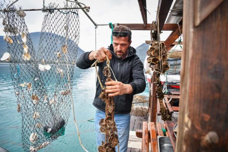 Private Oyster Tasting Tour in Mali Ston Bay From Dubrovnik - Who Is This Tour Best For?