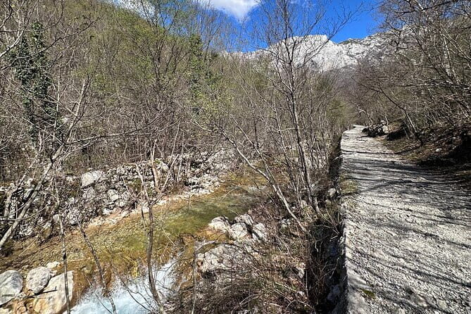 Private Paklenica Hiking Tour from Zadar up to 8 people - Who Should Consider This Tour