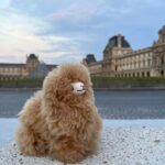 Private Paris City Night Sightseeing Tour - Sparkle Eiffel Tower - What Makes This Tour Stand Out?