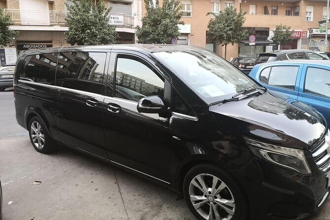 Private Paris Disneyland Transfers (01 - 07 Pax) - Why Choose Private Transfers for Disneyland Paris?