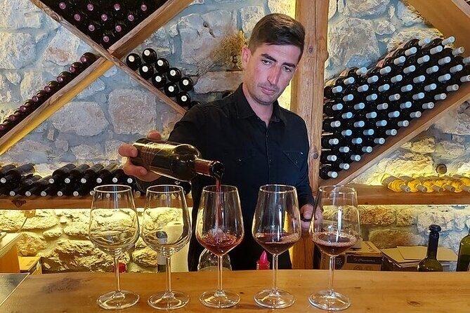 Private Peljeac Wine and Oyster Harvesting Experience by Boat - Who Will Love This Tour?