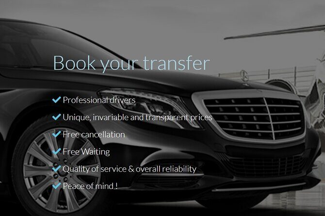 Private round trip transfer from/to PARIS  DISNEYLAND - In-Depth Review: Navigating the Experience