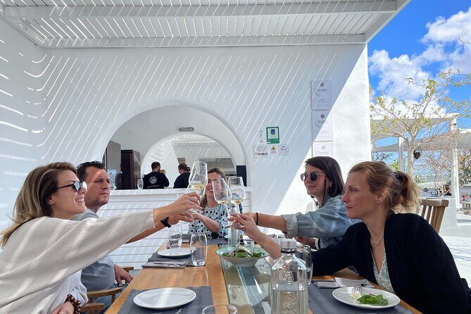 Private Santorini Daytime Wine Tour - Who Should Consider This Tour?