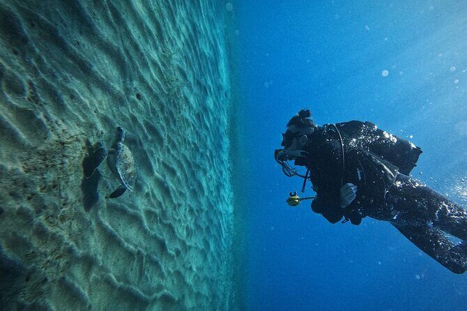 Private Scuba Diving in Tenerife  Certified Instructor & Photos - Analyzing the Value