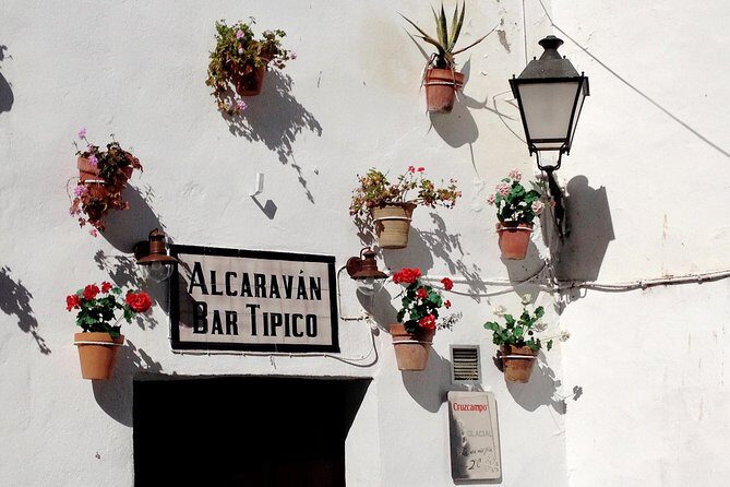 Private Seville Transfer to Malaga Including Visit to Ronda - The worth of the price
