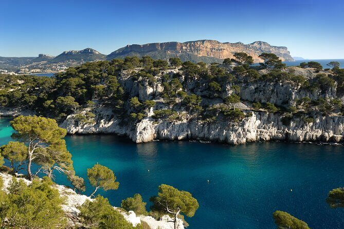Private Shore Excursion: Aix, Marseille, and Cassis Driver Guides - Who Will Love This Tour?