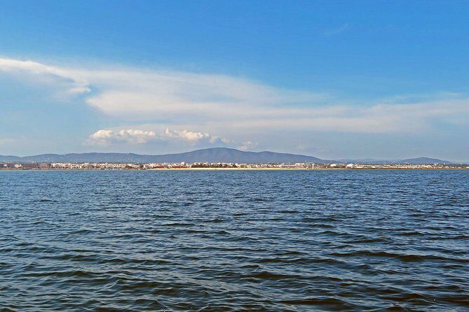 Private Sightseeing Boat Tour in Ria Formosa at Olhão - Frequently Asked Questions