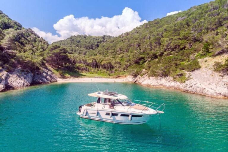 Private speedboat tours Sea Symphony - What Travelers Love