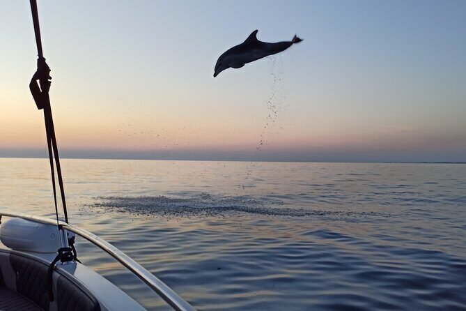Private Sunrise Dolphins & Fishermen at Work boat tour in Rovinj - Why This Tour Works (and Who It’s Perfect For)