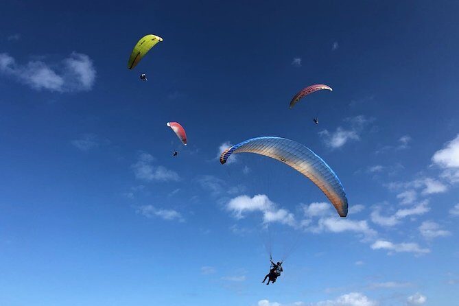 Private Tandem Paragliding Flight in Bizkaia - Meeting Points and Logistics