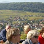 Private Tour: Alsace Villages and Wine Day Trip from Colmar - FAQ