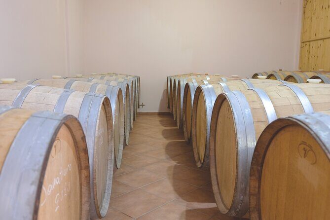 Private Tour and Tasting at Zeginis Winery - Exploring Zeginis Winery: An In-Depth Review